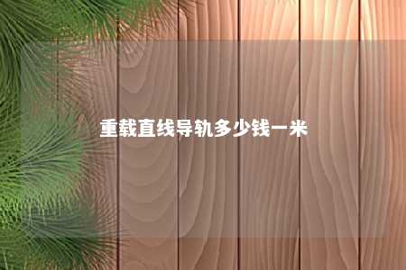 重载直线导轨多少钱一米 